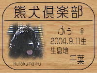 coco �ӂ�mama����̂a�k�n�f�ւf�n�I